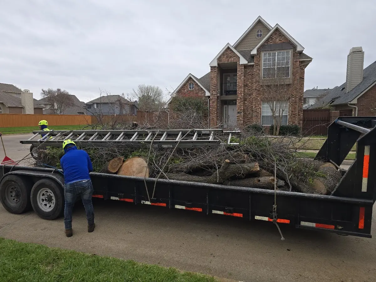 Expert Lot Clearing with proper safety equipment in Rising Sun